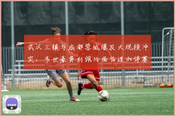 武汉三镇与成都蓉城爆发大规模冲突，韦世豪费利佩均面临追加停赛